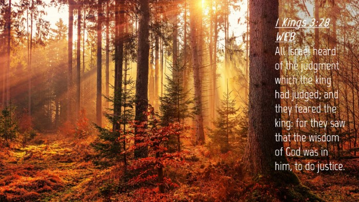 Picture 04 - 1 Kings 3:28 WEB Desktop Wallpaper - All Israel heard of the judgment which the king - Desktop Bible Verse Wallpaper