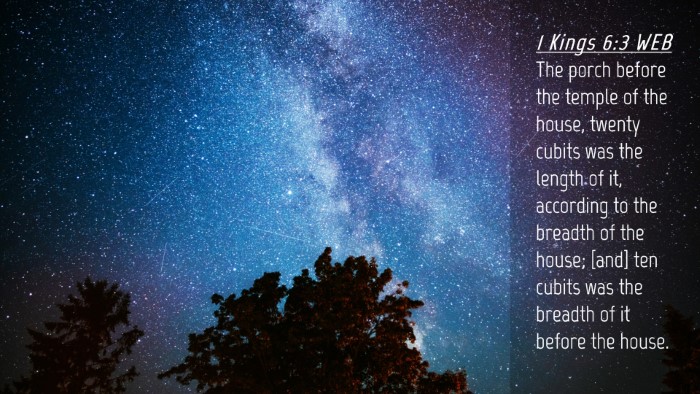Picture 04 - 1 Kings 6:3 WEB Desktop Wallpaper - The porch before the temple of the house, twenty - Desktop Bible Verse Wallpaper
