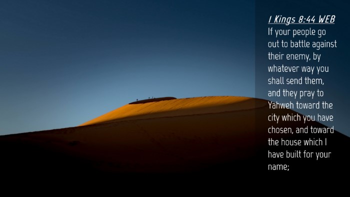 Picture 04 - 1 Kings 8:44 WEB Desktop Wallpaper - If your people go out to battle against their - Desktop Bible Verse Wallpaper