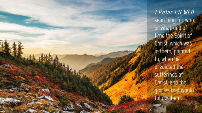 Picture 04 - 1 Peter 1:11 WEB Desktop Wallpaper - searching for who or what kind of time the Spirit - Desktop Bible Verse Wallpaper