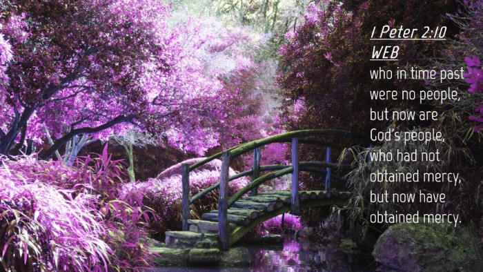 Picture 04 - 1 Peter 2:10 WEB Desktop Wallpaper - who in time past were no people, but now are - Desktop Bible Verse Wallpaper