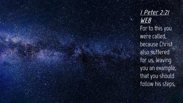 Picture 04 - 1 Peter 2:21 WEB Desktop Wallpaper - For to this you were called, because Christ also - Desktop Bible Verse Wallpaper