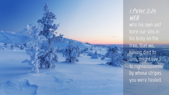 Picture 04 - 1 Peter 2:24 WEB Desktop Wallpaper - who his own self bore our sins in his body on the - Desktop Bible Verse Wallpaper