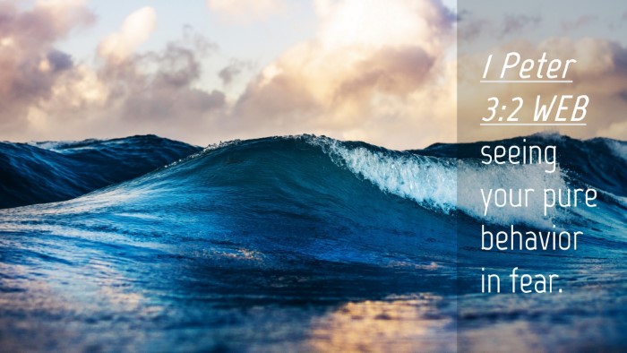 Picture 04 - 1 Peter 3:2 WEB Desktop Wallpaper - seeing your pure behavior in - Desktop Bible Verse Wallpaper