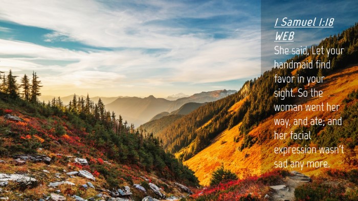 Picture 04 - 1 Samuel 1:18 WEB Desktop Wallpaper - She said, Let your handmaid find favor in your - Desktop Bible Verse Wallpaper