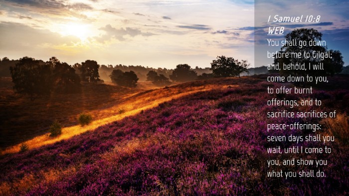 Picture 04 - 1 Samuel 10:8 WEB Desktop Wallpaper - You shall go down before me to Gilgal; and, - Desktop Bible Verse Wallpaper