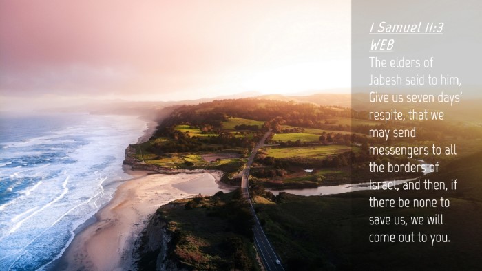 Picture 04 - 1 Samuel 11:3 WEB Desktop Wallpaper - The elders of Jabesh said to him, Give us seven - Desktop Bible Verse Wallpaper