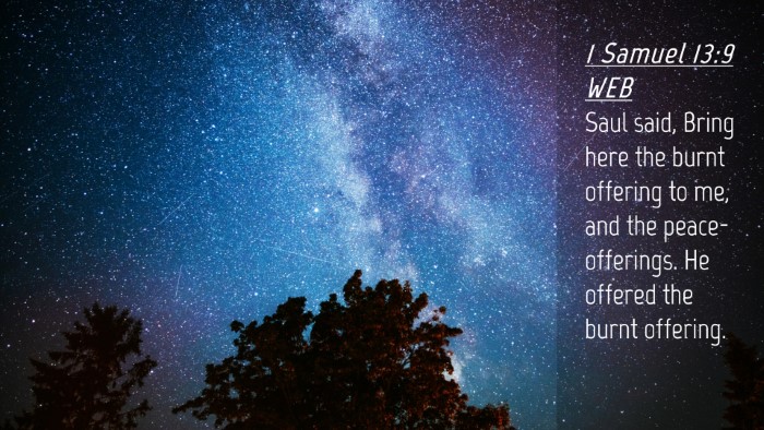 Picture 04 - 1 Samuel 13:9 WEB Desktop Wallpaper - Saul said, Bring here the burnt offering to me, - Desktop Bible Verse Wallpaper