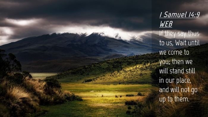 Picture 04 - 1 Samuel 14:9 WEB Desktop Wallpaper - If they say thus to us, Wait until we come to - Desktop Bible Verse Wallpaper