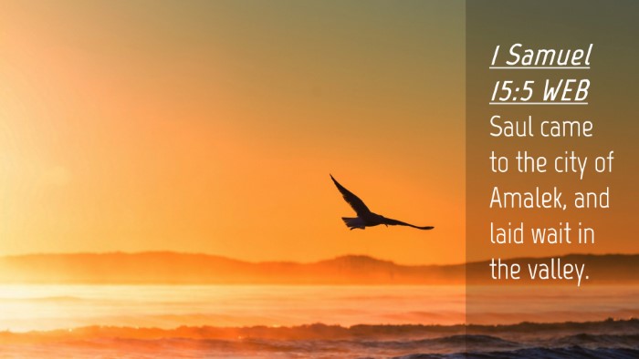 Picture 04 - 1 Samuel 15:5 WEB Desktop Wallpaper - Saul came to the city of Amalek, and laid wait in - Desktop Bible Verse Wallpaper