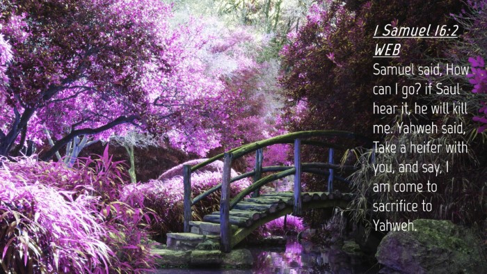 Picture 04 - 1 Samuel 16:2 WEB Desktop Wallpaper - Samuel said, How can I go? if Saul hear it, he - Desktop Bible Verse Wallpaper