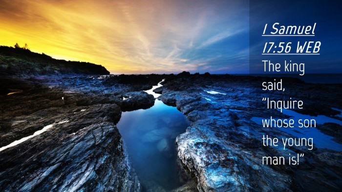 Picture 04 - 1 Samuel 17:56 WEB Desktop Wallpaper - The king said, 