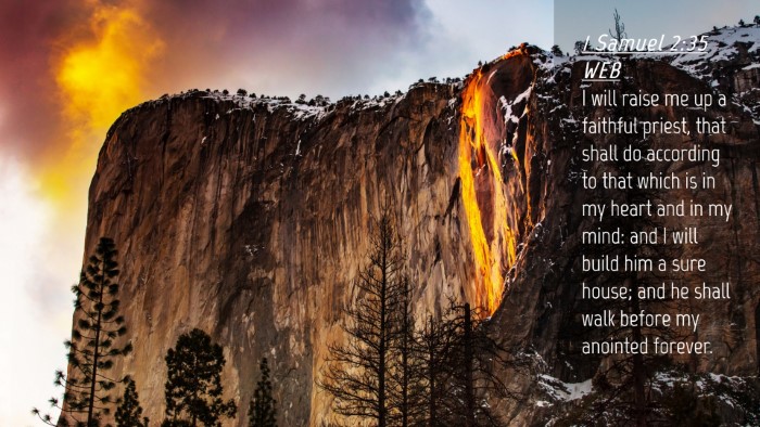 Picture 04 - 1 Samuel 2:35 WEB Desktop Wallpaper - I will raise me up a faithful priest, that shall - Desktop Bible Verse Wallpaper