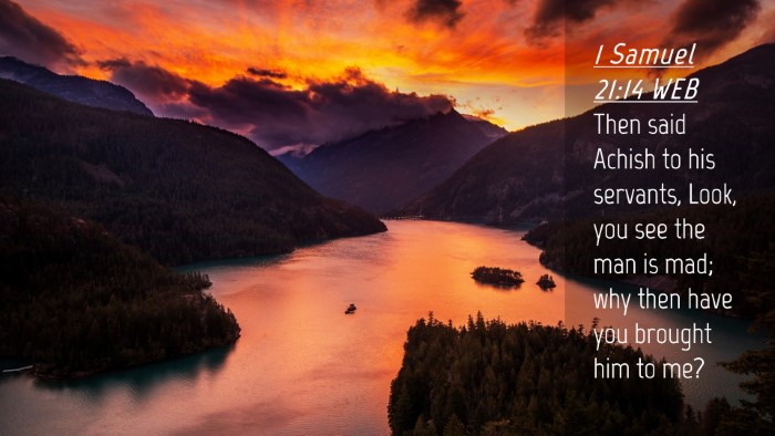 Picture 04 - 1 Samuel 21:14 WEB Desktop Wallpaper - Then said Achish to his servants, Look, you see - Desktop Bible Verse Wallpaper