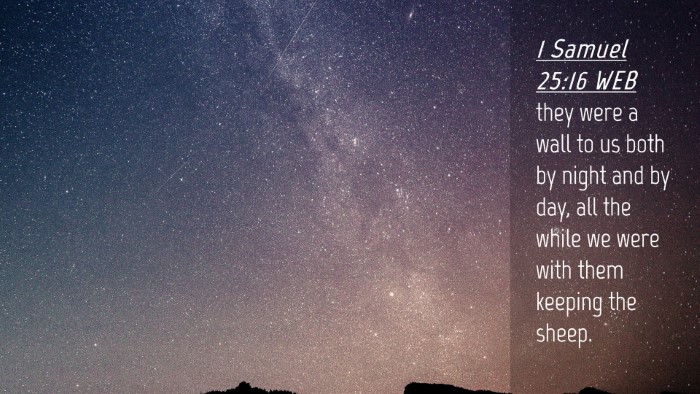 Picture 04 - 1 Samuel 25:16 WEB Desktop Wallpaper - they were a wall to us both by night and by day, - Desktop Bible Verse Wallpaper