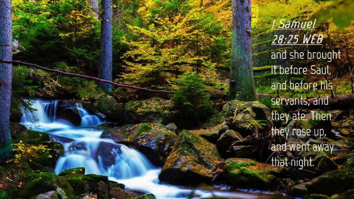 Picture 04 - 1 Samuel 28:25 WEB Desktop Wallpaper - and she brought it before Saul, and before his - Desktop Bible Verse Wallpaper