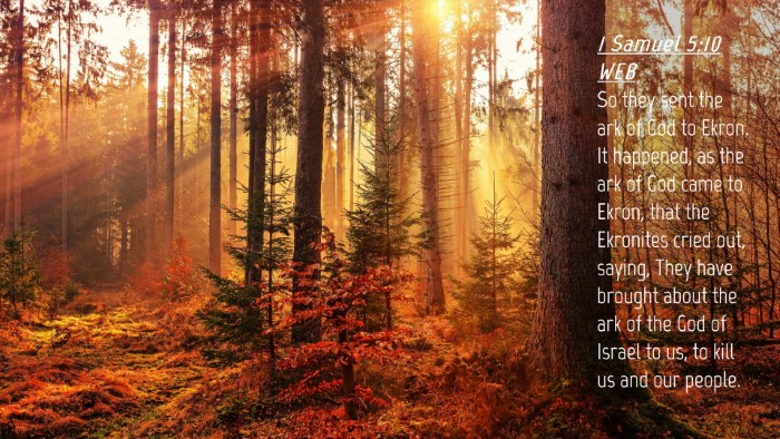 Picture 04 - 1 Samuel 5:10 WEB Desktop Wallpaper - So they sent the ark of God to Ekron. It - Desktop Bible Verse Wallpaper