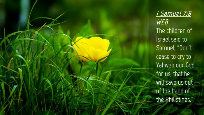 Picture 04 - 1 Samuel 7:8 WEB Desktop Wallpaper - The children of Israel said to Samuel, 
