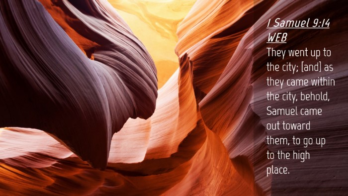 Picture 04 - 1 Samuel 9:14 WEB Desktop Wallpaper - They went up to the city; [and] as they came - Desktop Bible Verse Wallpaper
