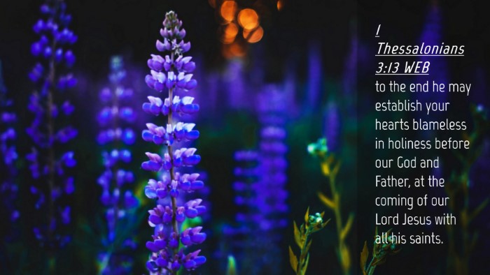 Picture 04 - 1 Thessalonians 3:13 WEB Desktop Wallpaper - to the end he may establish your hearts blameless - Desktop Bible Verse Wallpaper