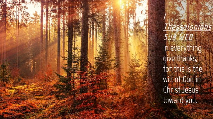 Picture 04 - 1 Thessalonians 5:18 WEB Desktop Wallpaper - In everything give thanks, for this is the will - Desktop Bible Verse Wallpaper