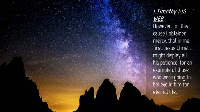 Picture 04 - 1 Timothy 1:16 WEB Desktop Wallpaper - However, for this cause I obtained mercy, that in - Desktop Bible Verse Wallpaper