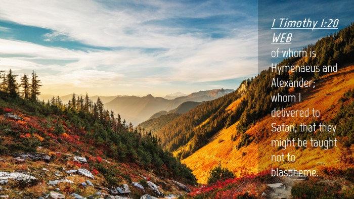 Picture 04 - 1 Timothy 1:20 WEB Desktop Wallpaper - of whom is Hymenaeus and Alexander; whom I - Desktop Bible Verse Wallpaper