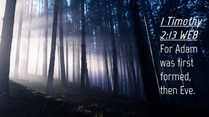 Picture 04 - 1 Timothy 2:13 WEB Desktop Wallpaper - For Adam was first formed, then - Desktop Bible Verse Wallpaper