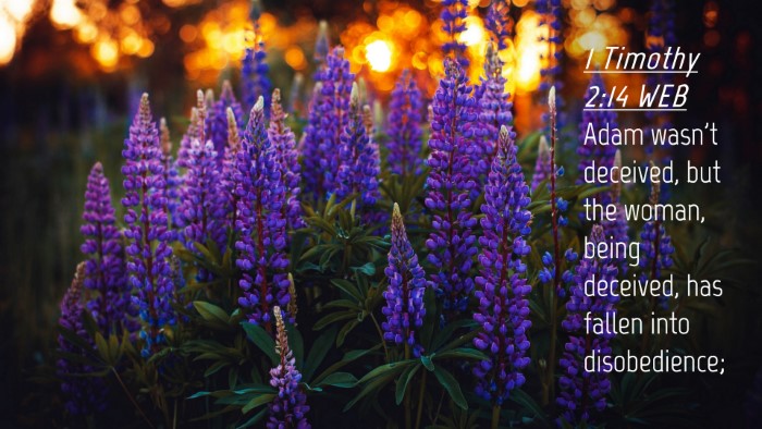 Picture 04 - 1 Timothy 2:14 WEB Desktop Wallpaper - Adam wasn't deceived, but the woman, being - Desktop Bible Verse Wallpaper