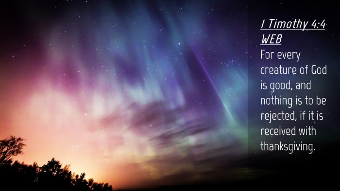 Picture 04 - 1 Timothy 4:4 WEB Desktop Wallpaper - For every creature of God is good, and nothing is - Desktop Bible Verse Wallpaper