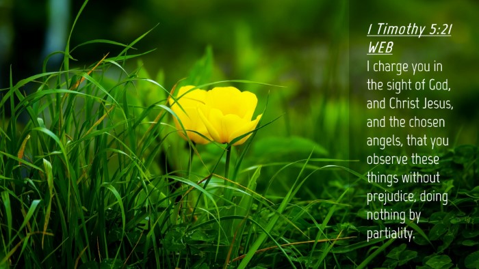 Picture 04 - 1 Timothy 5:21 WEB Desktop Wallpaper - I charge you in the sight of God, and Christ - Desktop Bible Verse Wallpaper