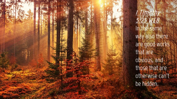 Picture 04 - 1 Timothy 5:25 WEB Desktop Wallpaper - In the same way also there are good works that - Desktop Bible Verse Wallpaper