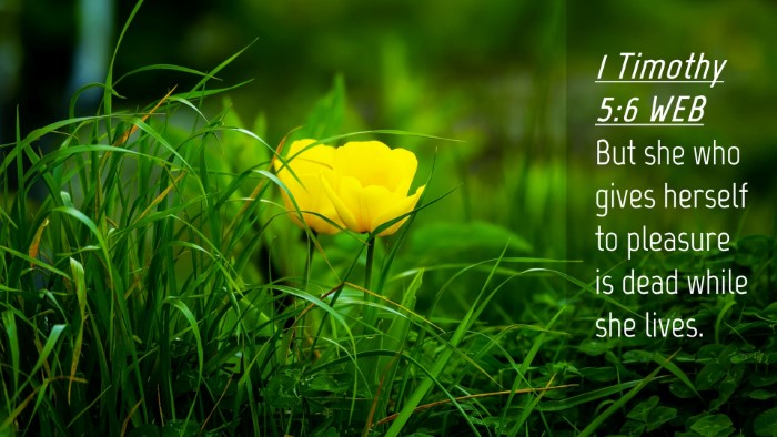 Picture 04 - 1 Timothy 5:6 WEB Desktop Wallpaper - But she who gives herself to pleasure is dead - Desktop Bible Verse Wallpaper