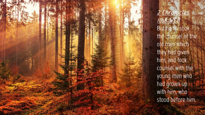 Picture 04 - 2 Chronicles 10:8 WEB Desktop Wallpaper - But he forsook the counsel of the old men which - Desktop Bible Verse Wallpaper