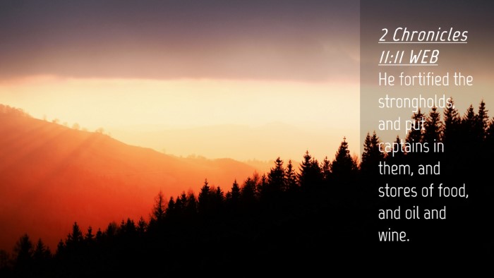 Picture 04 - 2 Chronicles 11:11 WEB Desktop Wallpaper - He fortified the strongholds, and put captains in - Desktop Bible Verse Wallpaper