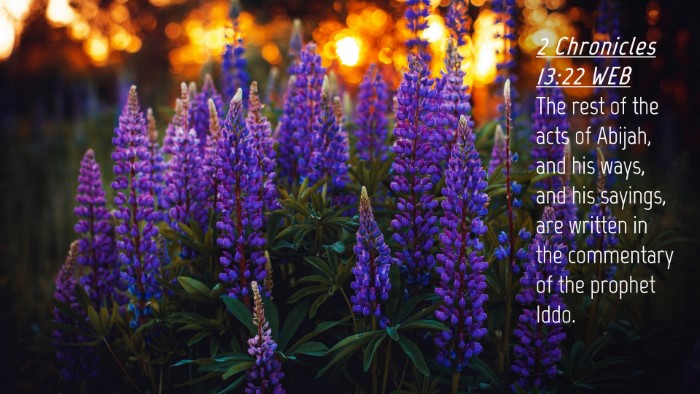 Picture 04 - 2 Chronicles 13:22 WEB Desktop Wallpaper - The rest of the acts of Abijah, and his ways, and - Desktop Bible Verse Wallpaper