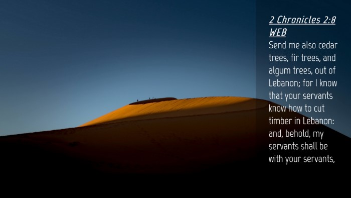 Picture 04 - 2 Chronicles 2:8 WEB Desktop Wallpaper - Send me also cedar trees, fir trees, and algum - Desktop Bible Verse Wallpaper