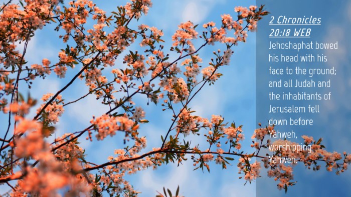 Picture 04 - 2 Chronicles 20:18 WEB Desktop Wallpaper - Jehoshaphat bowed his head with his face to the - Desktop Bible Verse Wallpaper