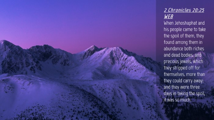 Picture 04 - 2 Chronicles 20:25 WEB Desktop Wallpaper - When Jehoshaphat and his people came to take the - Desktop Bible Verse Wallpaper