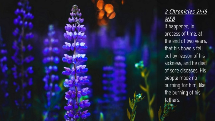 Picture 04 - 2 Chronicles 21:19 WEB Desktop Wallpaper - It happened, in process of time, at the end of - Desktop Bible Verse Wallpaper