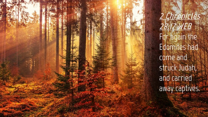 Picture 04 - 2 Chronicles 28:17 WEB Desktop Wallpaper - For again the Edomites had come and struck Judah, - Desktop Bible Verse Wallpaper