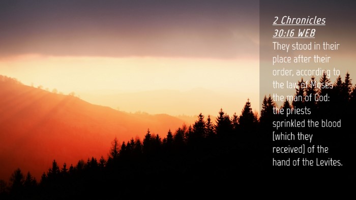 Picture 04 - 2 Chronicles 30:16 WEB Desktop Wallpaper - They stood in their place after their order, - Desktop Bible Verse Wallpaper