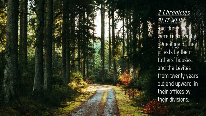 Picture 04 - 2 Chronicles 31:17 WEB Desktop Wallpaper - and those who were reckoned by genealogy of the - Desktop Bible Verse Wallpaper