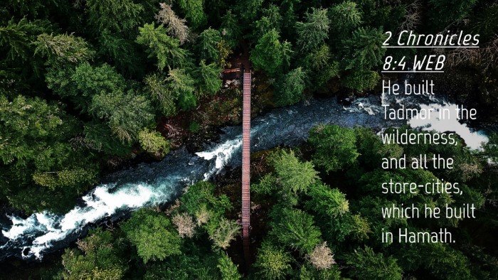 Picture 04 - 2 Chronicles 8:4 WEB Desktop Wallpaper - He built Tadmor in the wilderness, and all the - Desktop Bible Verse Wallpaper