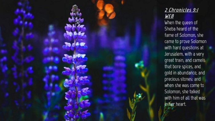 Picture 04 - 2 Chronicles 9:1 WEB Desktop Wallpaper - When the queen of Sheba heard of the fame of - Desktop Bible Verse Wallpaper