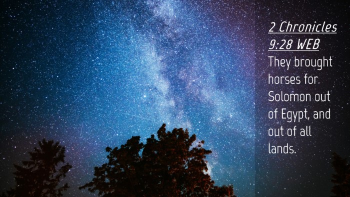 Picture 04 - 2 Chronicles 9:28 WEB Desktop Wallpaper - They brought horses for Solomon out of Egypt, and - Desktop Bible Verse Wallpaper