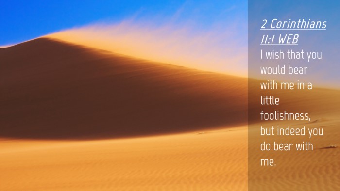 Picture 04 - 2 Corinthians 11:1 WEB Desktop Wallpaper - I wish that you would bear with me in a little - Desktop Bible Verse Wallpaper