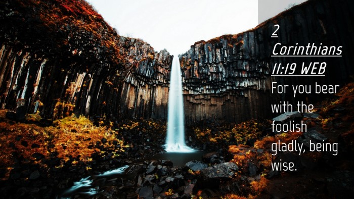 Picture 04 - 2 Corinthians 11:19 WEB Desktop Wallpaper - For you bear with the foolish gladly, being - Desktop Bible Verse Wallpaper