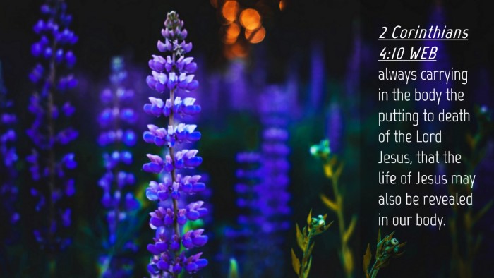 Picture 04 - 2 Corinthians 4:10 WEB Desktop Wallpaper - always carrying in the body the putting to death - Desktop Bible Verse Wallpaper