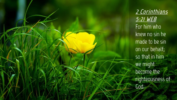 Picture 04 - 2 Corinthians 5:21 WEB Desktop Wallpaper - For him who knew no sin he made to be sin on our - Desktop Bible Verse Wallpaper